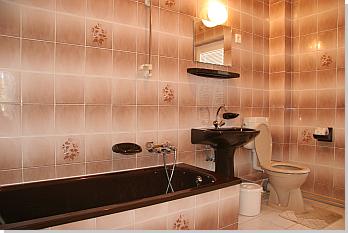 Villa Neitzer Sifok with private pool - Bathroom